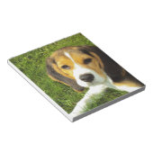 Beagle-Hundehaustier-Tier-FriedensLiebe Notizblock (angewinkelt)