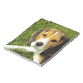 Beagle-Hundehaustier-Tier-FriedensLiebe Notizblock (Rotiert)