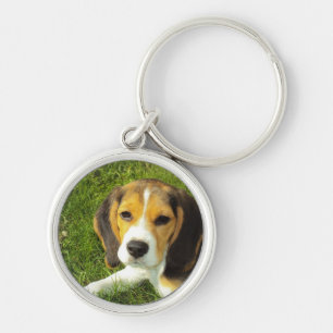 Beagle-Hundehaustier-Tier-FriedensLiebe Schlüsselanhänger