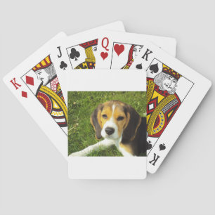 Beagle-Hundehaustier-Tier-FriedensLiebe Spielkarten