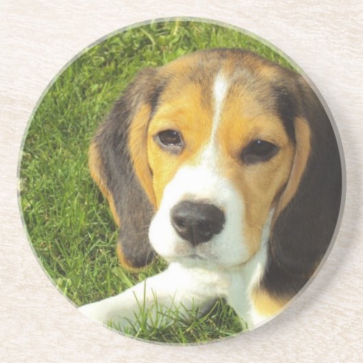Beagle-Hundehaustier-Tier-FriedensLiebe Untersetzer (Vorne)