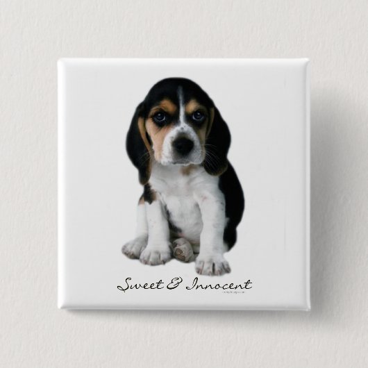 Beagle-Hundeknopf Button (Vorderseite)