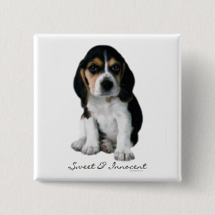 Beagle-Hundeknopf Button