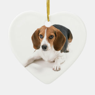 Beagle-Hundeverzierung Keramikornament