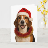 Beagle in a Santa hat Christmas card Karte (Gelbe Blume)