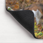 Beagle in Holz Mousepad (Ecke)