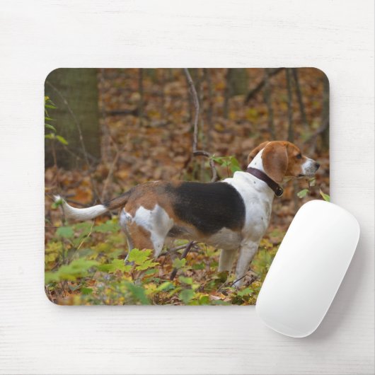 Beagle in Holz Mousepad (Mit Mouse)