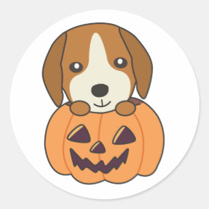 Beagle in Pumpkin Sweet Hunde glückliche Halloween Runder Aufkleber
