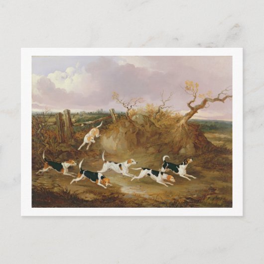 Beagle in Vollkornholz, 1845 (Öl auf Leinwand) Postkarte (Vorderseite)