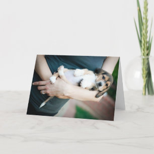 Beagle in Waffen Karte