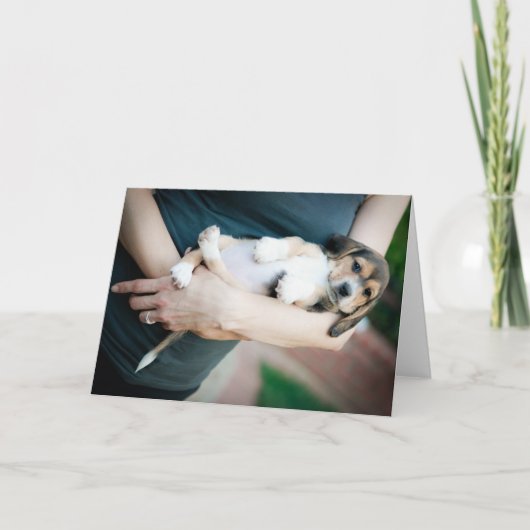 Beagle in Waffen Karte (Vorderseite)