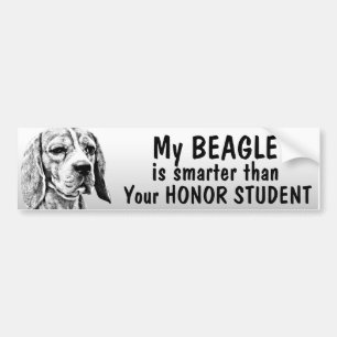 Beagle - intelligenter als Ehrenstudent - lustig Autoaufkleber