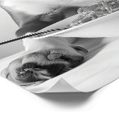 Beagle isst Pasta Wandkunst, Spaghetti Druck, Bla Poster (Ecke)