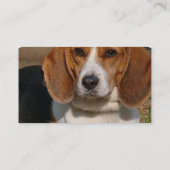 Beagle-Jagdhund-Hundegeschäfts-Karte Visitenkarte (Rückseite)