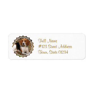 Beagle-Jagdhund-Hundemailings-Aufkleber