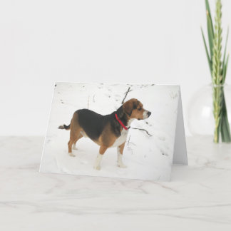 Beagle-Jagdhund-Jagd im Feiertagskarte