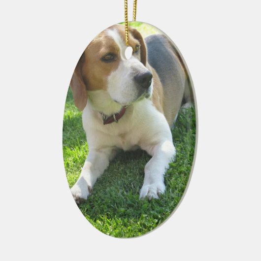 Beagle-Jagdhund-Verzierung Keramik Ornament (Links)