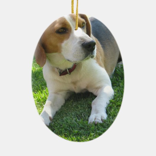 Beagle-Jagdhund-Verzierung Keramik Ornament (Hinten)