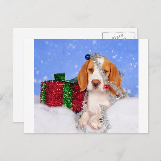 Beagle Jingle Feiertagspostkarte (Vorne/Hinten)