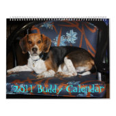 Beagle-Kalender 2011 Kalender (Titelbild)