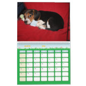 Beagle-Kalender 2011 Kalender (Mär 2026)