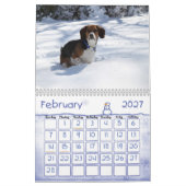 Beagle-Kalender 2012 Kalender (Feb 2027)