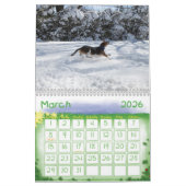 Beagle-Kalender 2012 Kalender (Mär 2026)