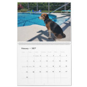 Beagle-Kalender 2016 Kalender (Feb 2027)