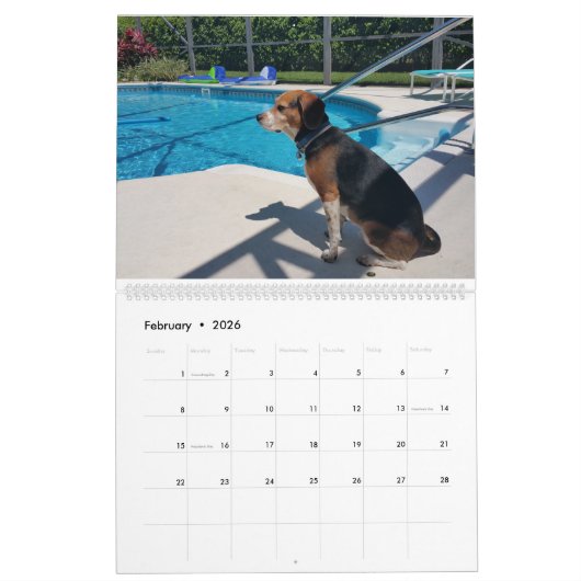 Beagle-Kalender 2016 Kalender (Feb 2026)