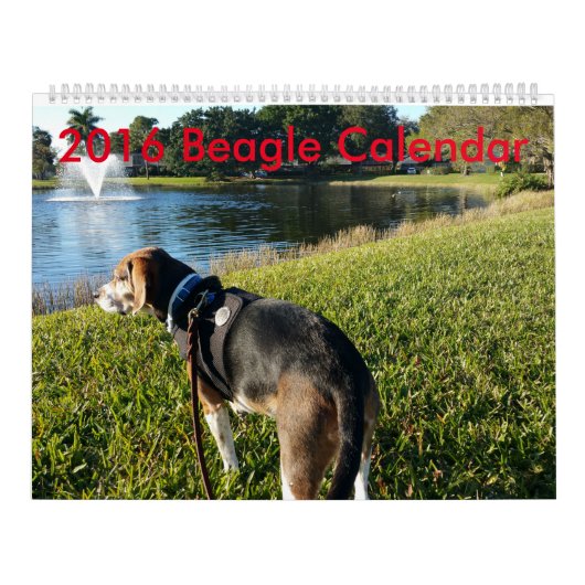 Beagle-Kalender 2016 Kalender (Titelbild)