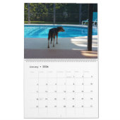 Beagle-Kalender 2016 Kalender (Jan 2026)