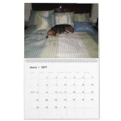 Beagle-Kalender 2016 Kalender (Mär 2027)