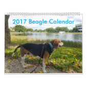Beagle-Kalender 2017 Kalender (Titelbild)