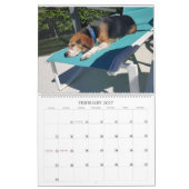 Beagle-Kalender 2017 Kalender (Feb 2027)