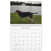 Beagle-Kalender 2017 Kalender (Jan 2027)