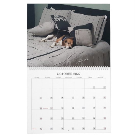 Beagle-Kalender 2017 Kalender (Okt 2027)