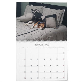 Beagle-Kalender 2017 Kalender