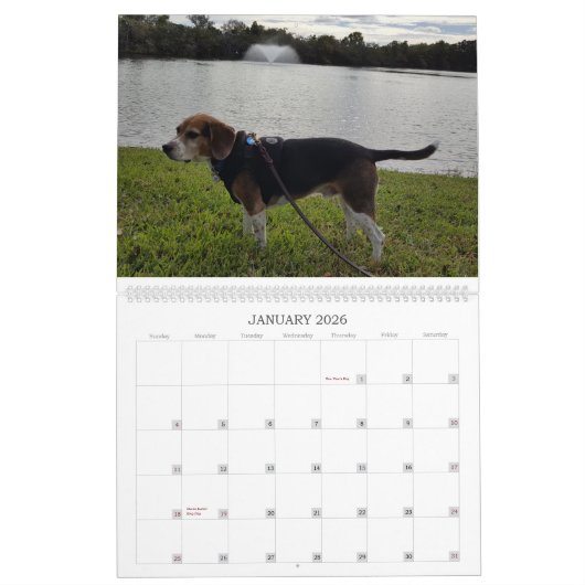 Beagle-Kalender 2017 Kalender (Jan 2026)