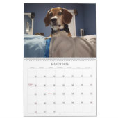 Beagle-Kalender 2017 Kalender (Mär 2026)