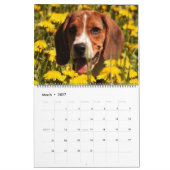 Beagle-Kalender 2021 Kalender (Mär 2027)