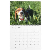 Beagle-Kalender 2021 Kalender (Jan 2027)
