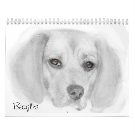 Beagle-Kalender Kalender (Titelbild)