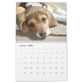 Beagle-Kalender Kalender (Jan 2026)