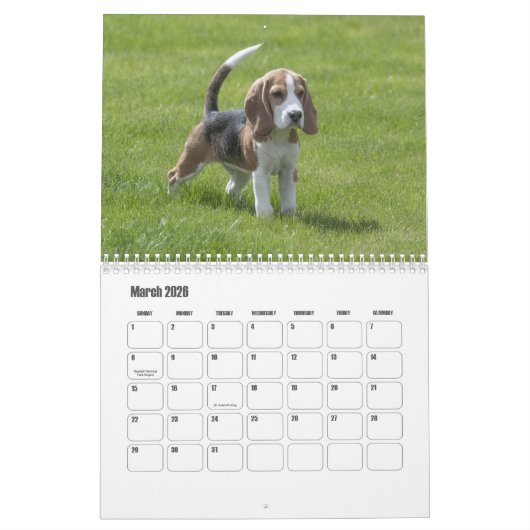 Beagle-Kalender Kalender (Mär 2026)