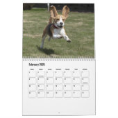 Beagle-Kalender Kalender (Feb 2026)