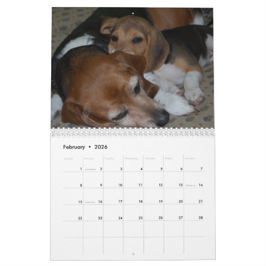 Beagle-Kalender Kalender (Feb 2026)