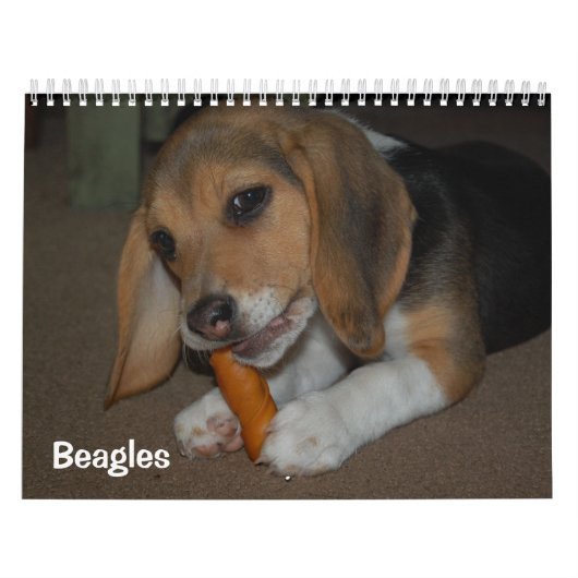 Beagle-Kalender Kalender (Titelbild)