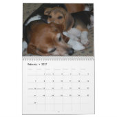 Beagle-Kalender Kalender (Feb 2027)
