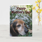 Beagle Karte (Gelbe Blume)