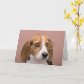 Beagle Karte (Gelbe Blume)